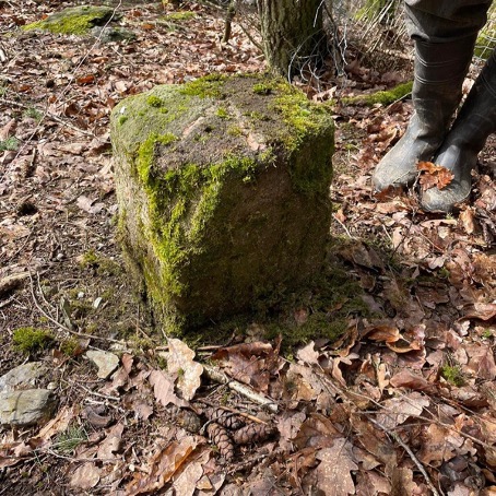 grenzstein teilvermessung abentheuer s&b vermessungsbüro